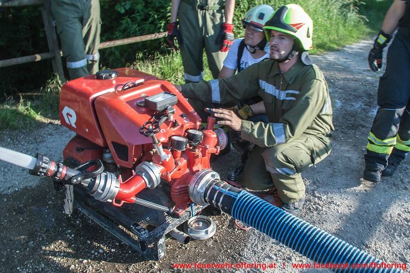 phoca thumb l 160610 ue fox 06