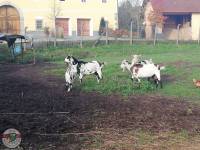 phoca thumb m img 20191124 wa0006