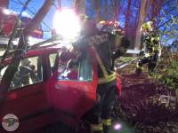 phoca thumb m img 0695