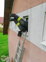 phoca thumb m 06 img 20190412 wa0004